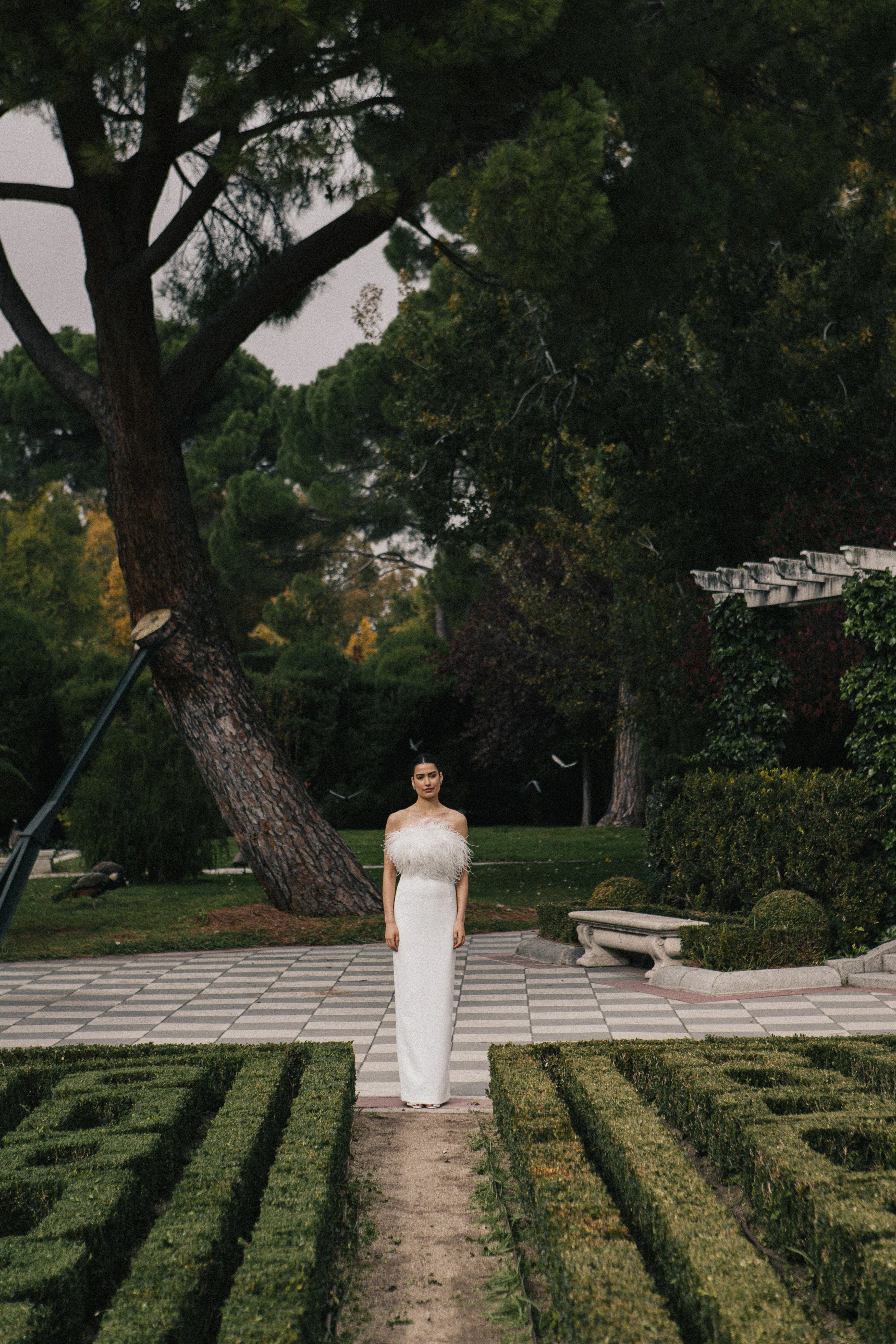 Imagen del producto 3